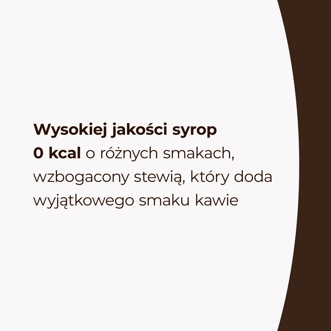LoCCo 0 kcal Barista Sirup mit Stevia Lebkuchengeschmack 250 ml